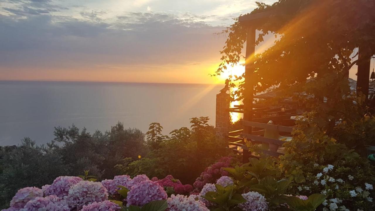 Villa Analipsi Sea View Hommes Zagora Exterior foto