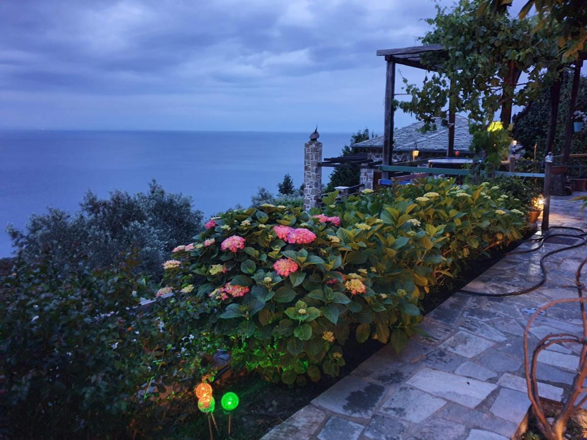Villa Analipsi Sea View Hommes Zagora Exterior foto